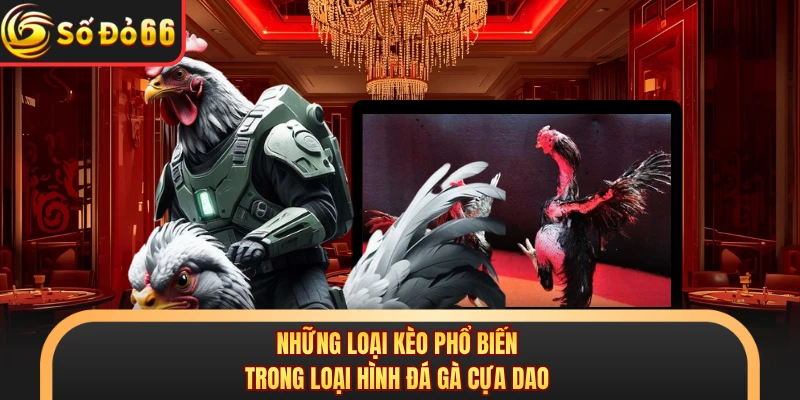 Những loại kèo phổ biến trong loại hình đá gà cựa dao